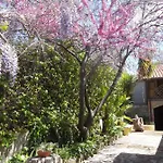 Apartamento Locazione Turistica Reggio di Calabria