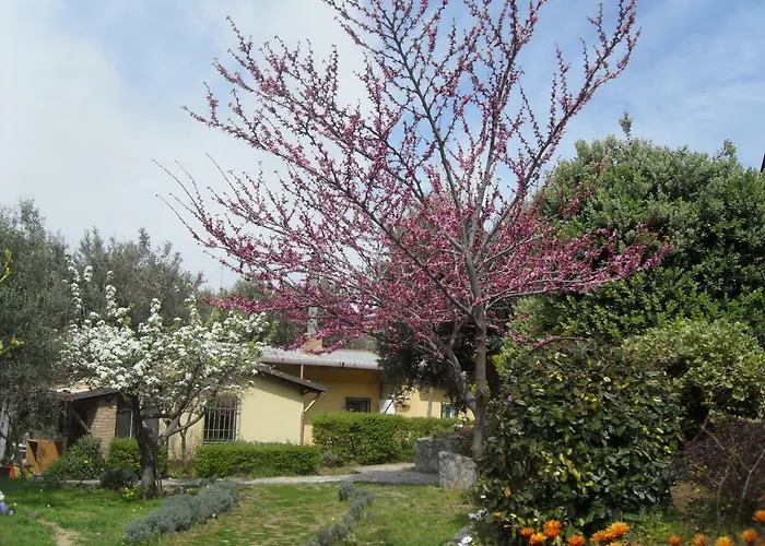 Locazione Turistica Lägenhet